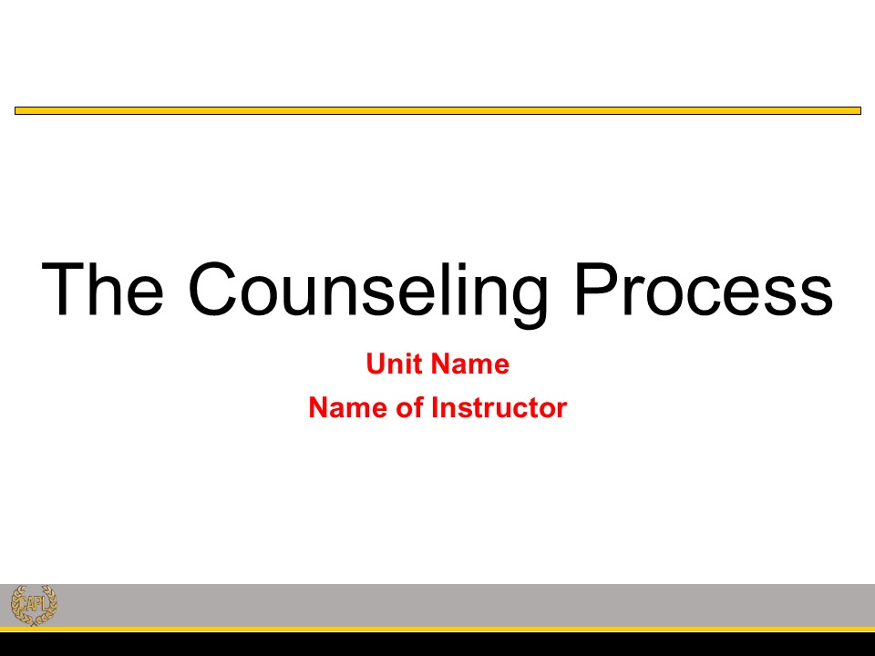 The Counseling Process